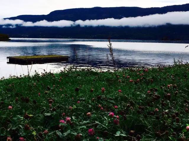 34.webp.jpg 爱丫爱丫影院