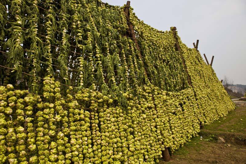 timg (2).jpg 爱丫爱丫影院