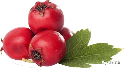 26.jpg 爱丫爱丫影院