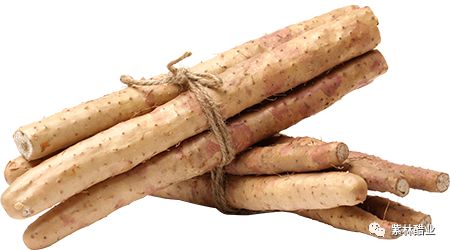 28.jpg 爱丫爱丫影院