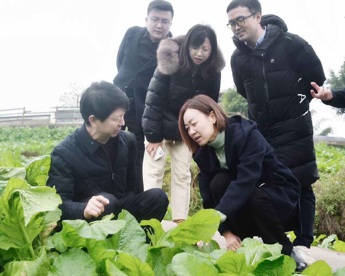 图片1.png 爱丫爱丫影院