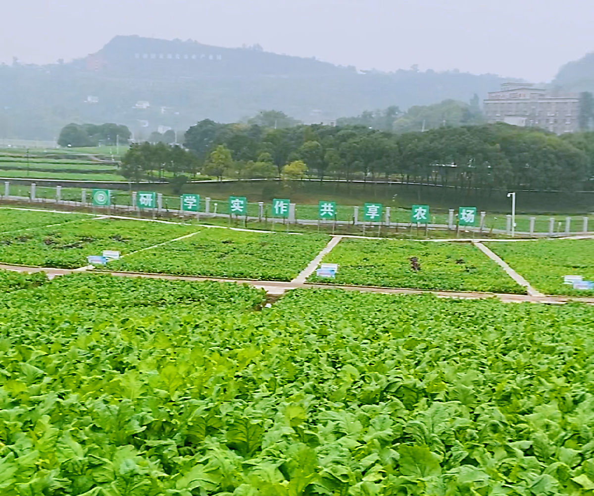 图片8.png 爱丫爱丫影院